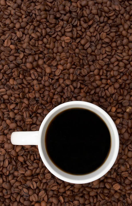 Java John's in Nevada City, CA (2)