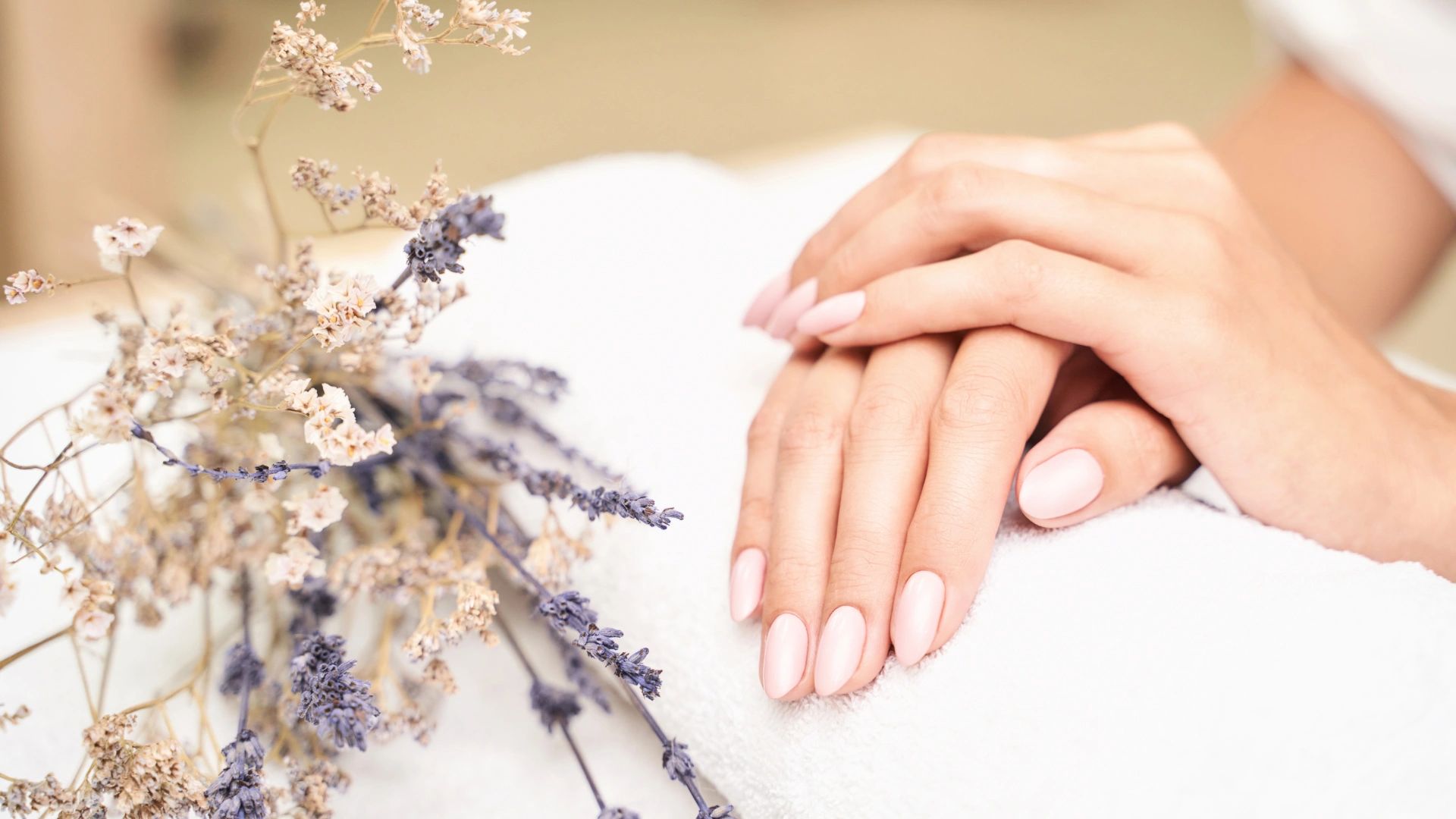 Amour Nails in Northville, MI