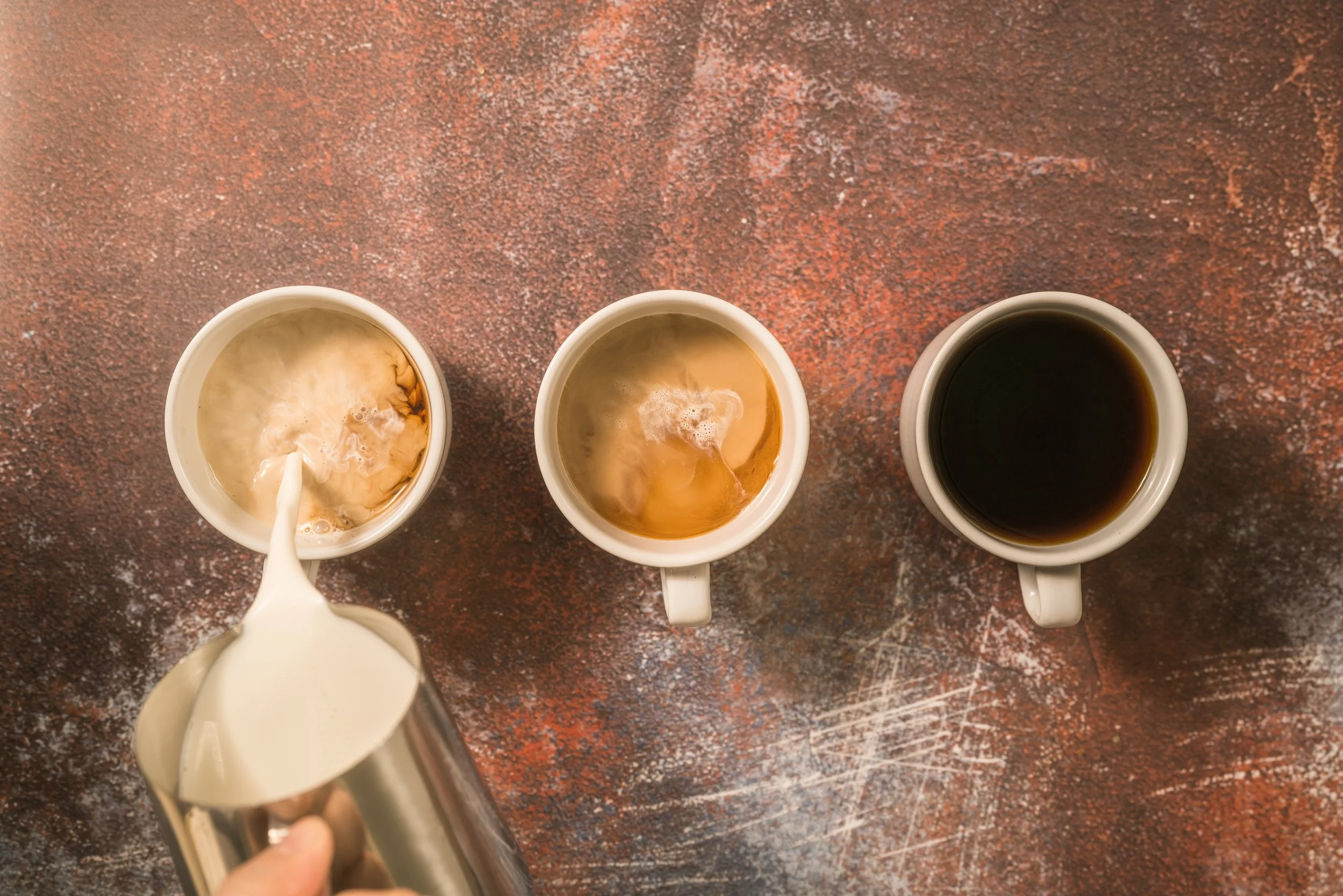 Rambler Coffee in Charleston, SC (2)