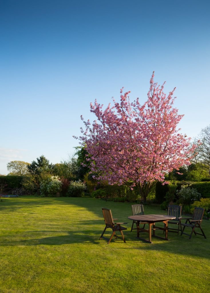 Black Creek Lawn Care - Lawn Care & Landscaping Service in Williamstown, PA