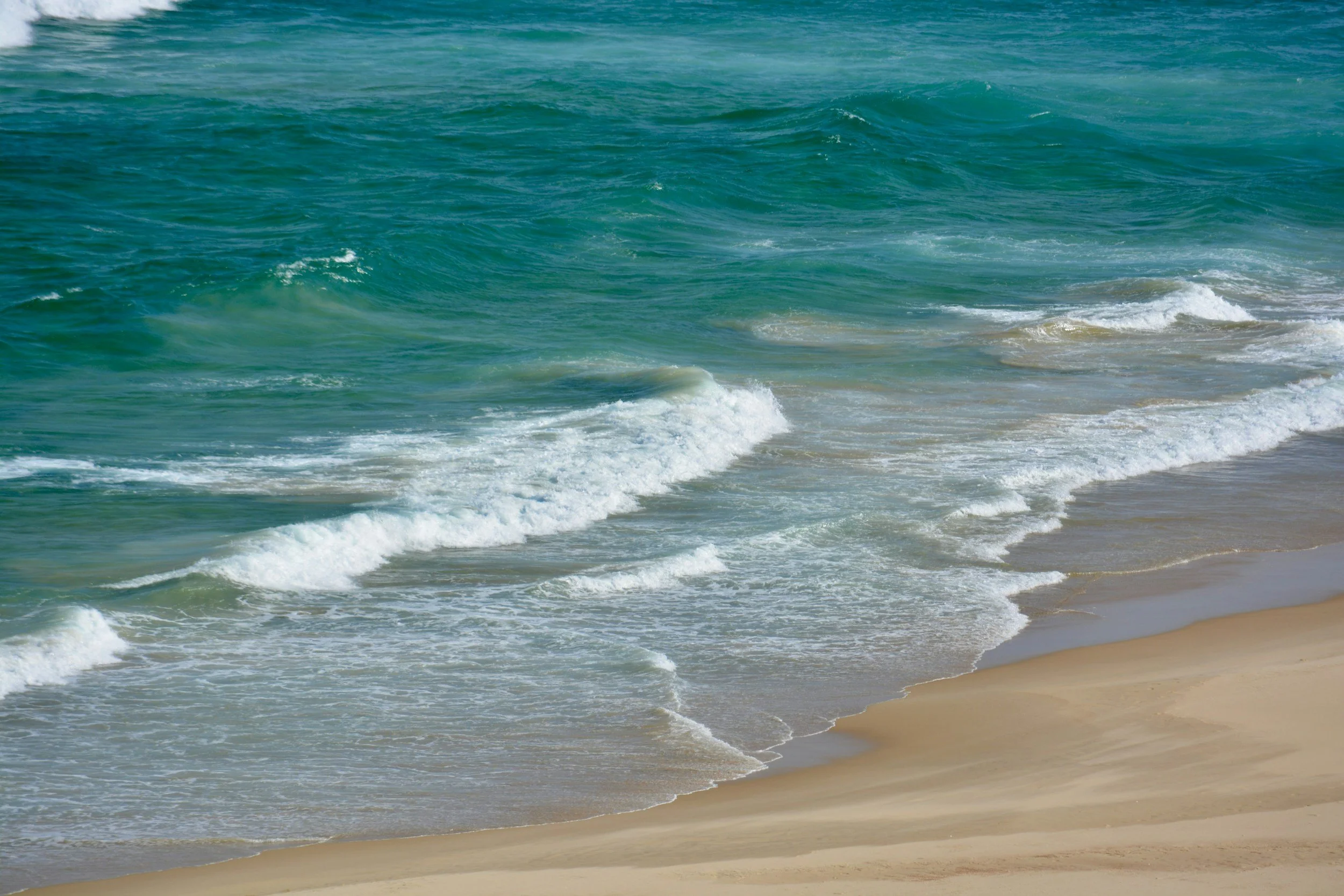 Michelle Cecchini, REALTOR® & Broker | Ormond Beach, FL in Ormond Beach, FL (2)
