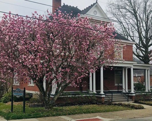 Law John E CPA AC in Weston, WV
