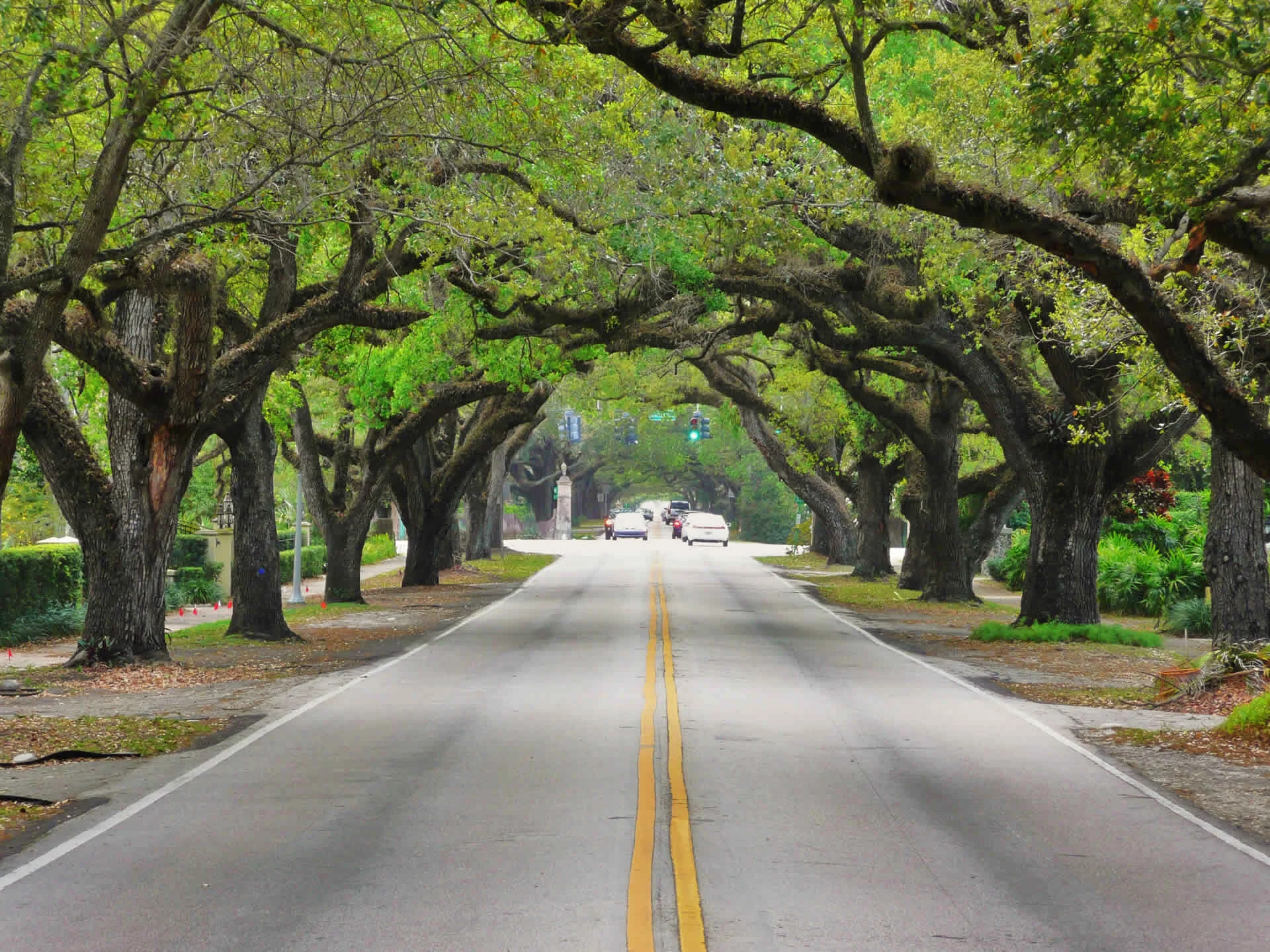 A M Romaine Law Office in Rockledge, FL