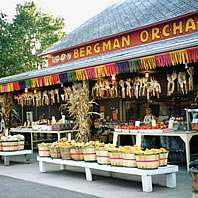 Bergman Orchards in Port Clinton, OH (3)