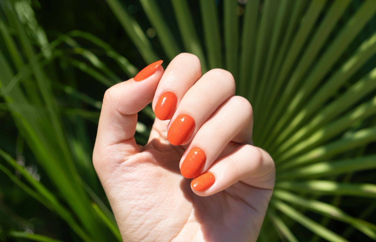 Lily Nails at OSU ( 10% off cash,zelle, or Venmo) in Columbus, OH