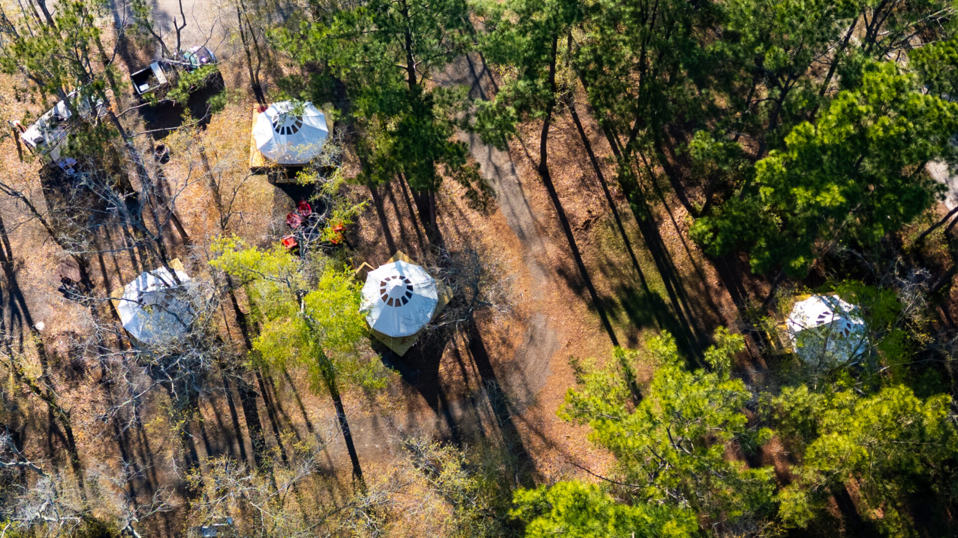 Okefenokee Pastimes Cabins and Campground in Folkston, GA (3)
