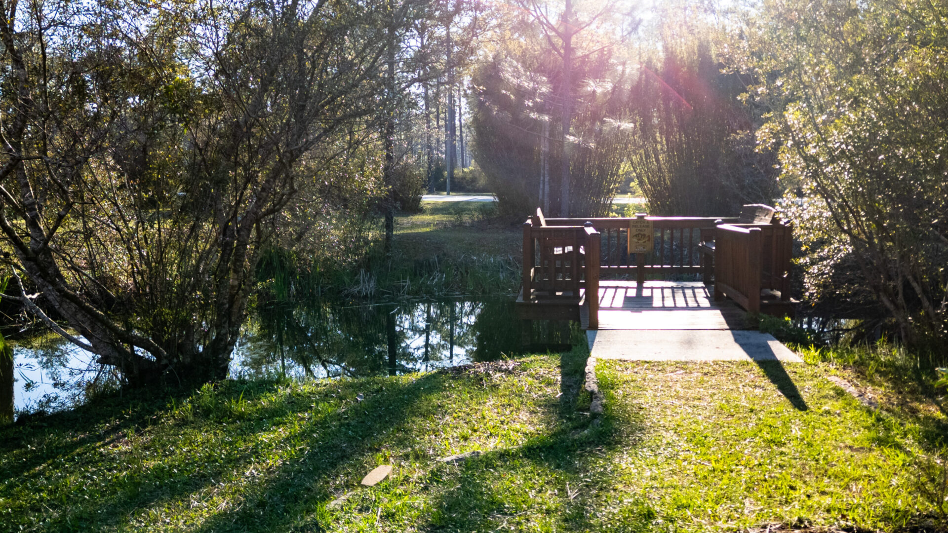 Okefenokee Pastimes Cabins and Campground in Folkston, GA (5)