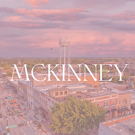 Michele Steele Realtor in Allen, TX (2)