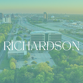Michele Steele Realtor in Allen, TX (3)