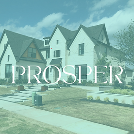 Michele Steele Realtor in Allen, TX (5)