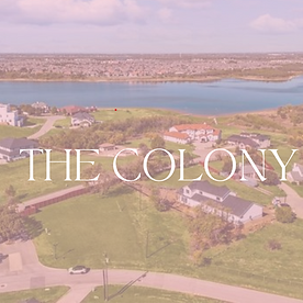 Michele Steele Realtor in Allen, TX (6)