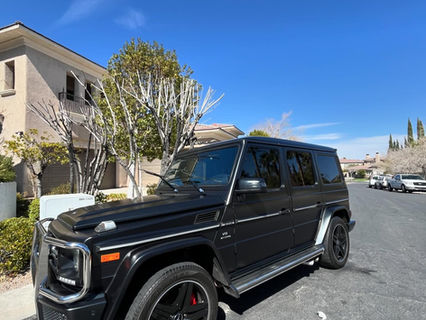 Pitstop Mobile Detailing in Tampa, FL (2)