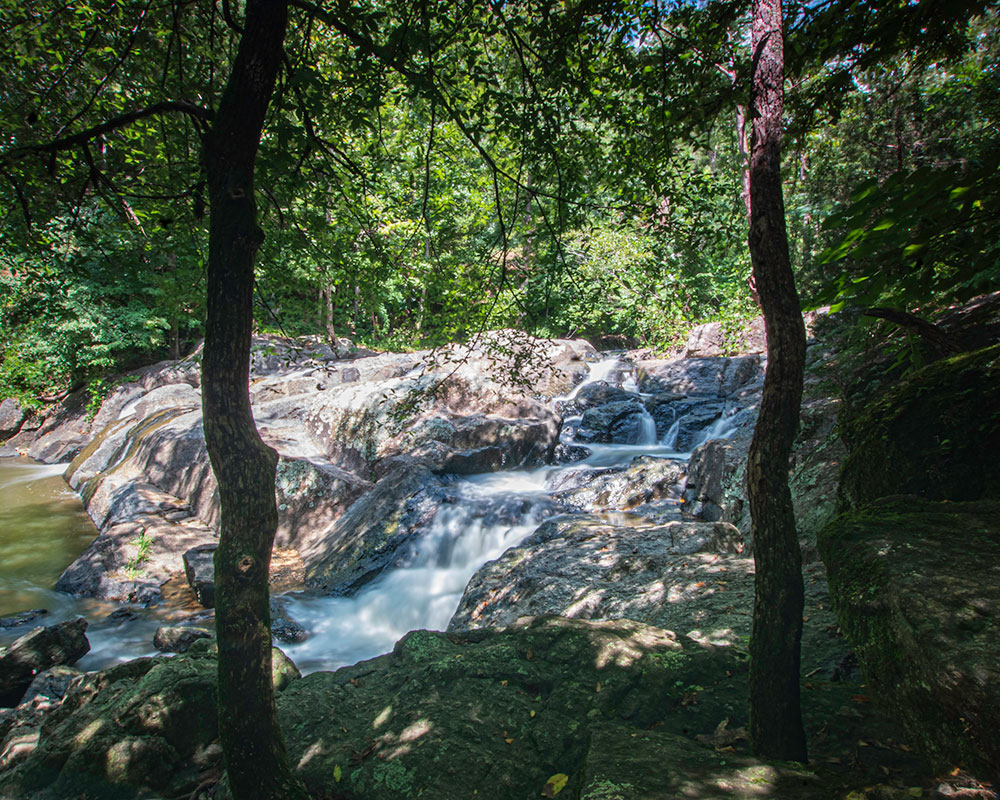 Trey Sippial- River Region Realty Group LLC in Montgomery, AL (5)