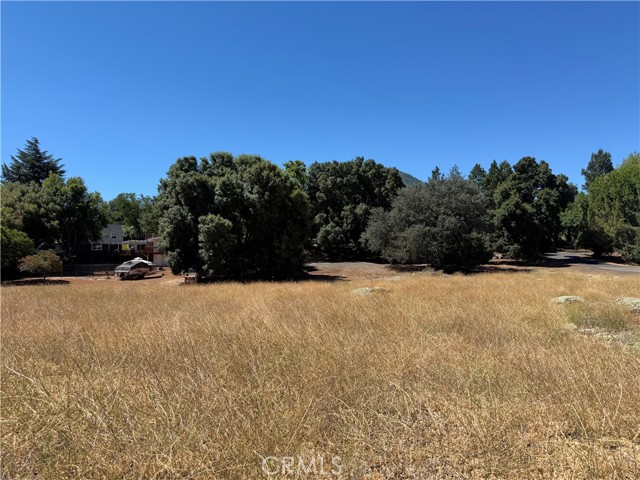Konocti Realty in Lakeport, CA (2)