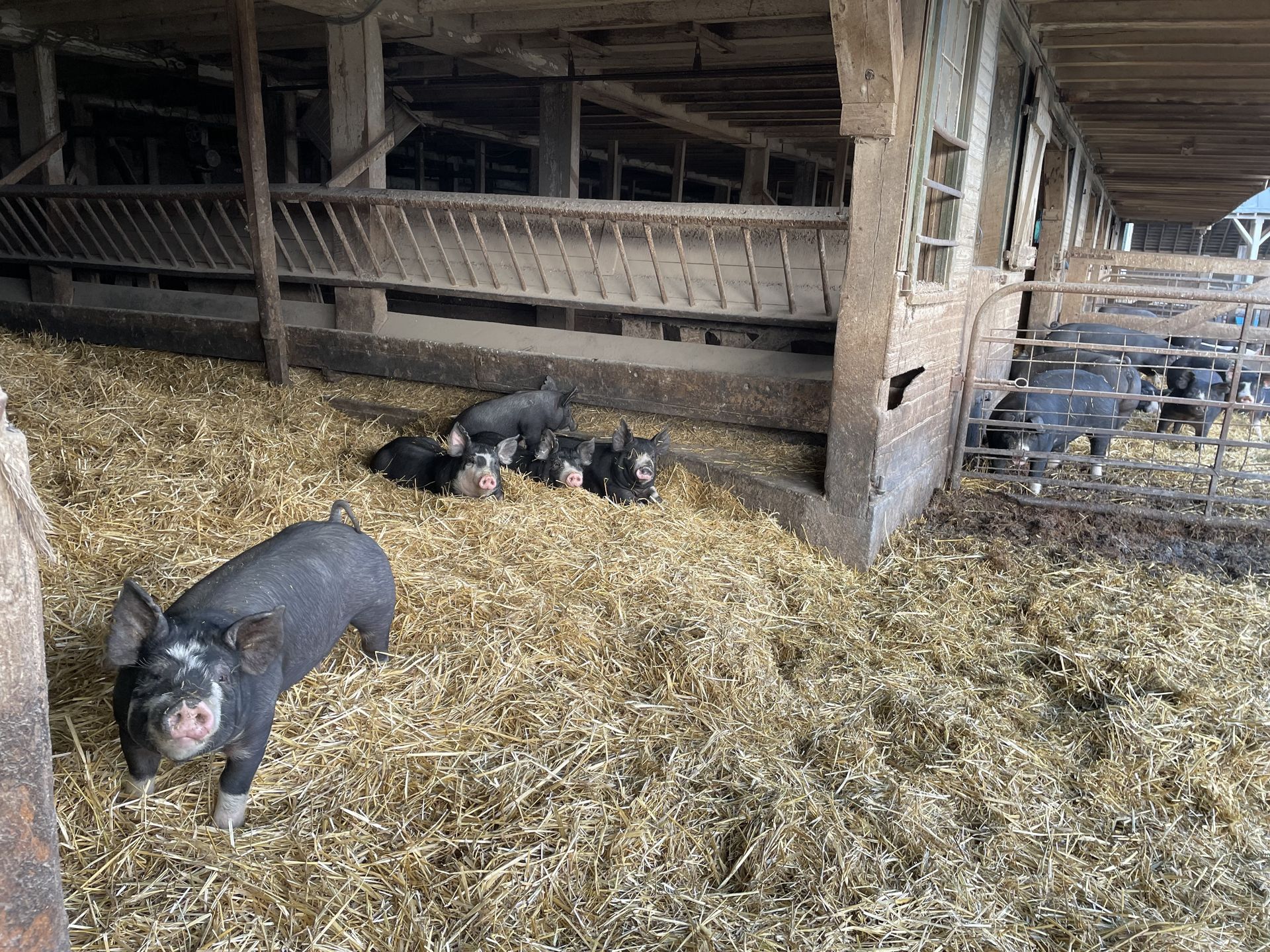 Ernst Grain & Livestock in Clear Spring, MD