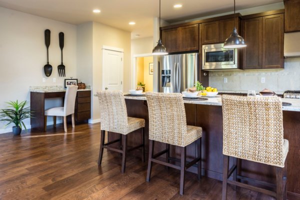 Raj Patel American Star Realty in Des Plaines, IL (6)