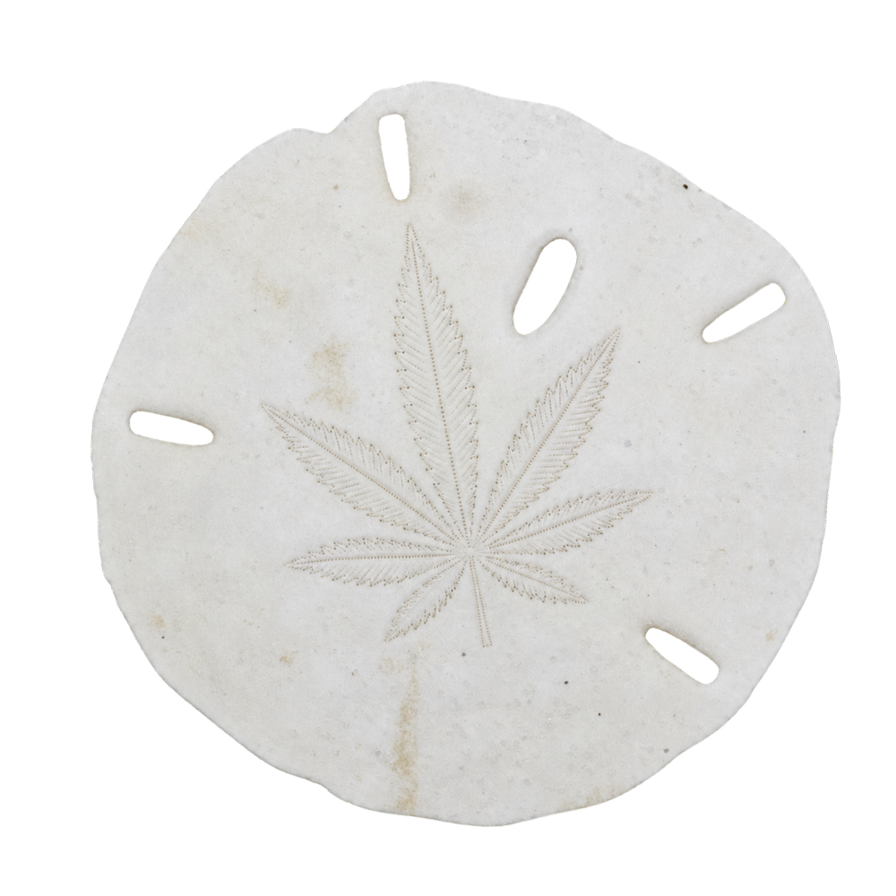 The Hook Dispensary - Capitola in Capitola, CA (5)