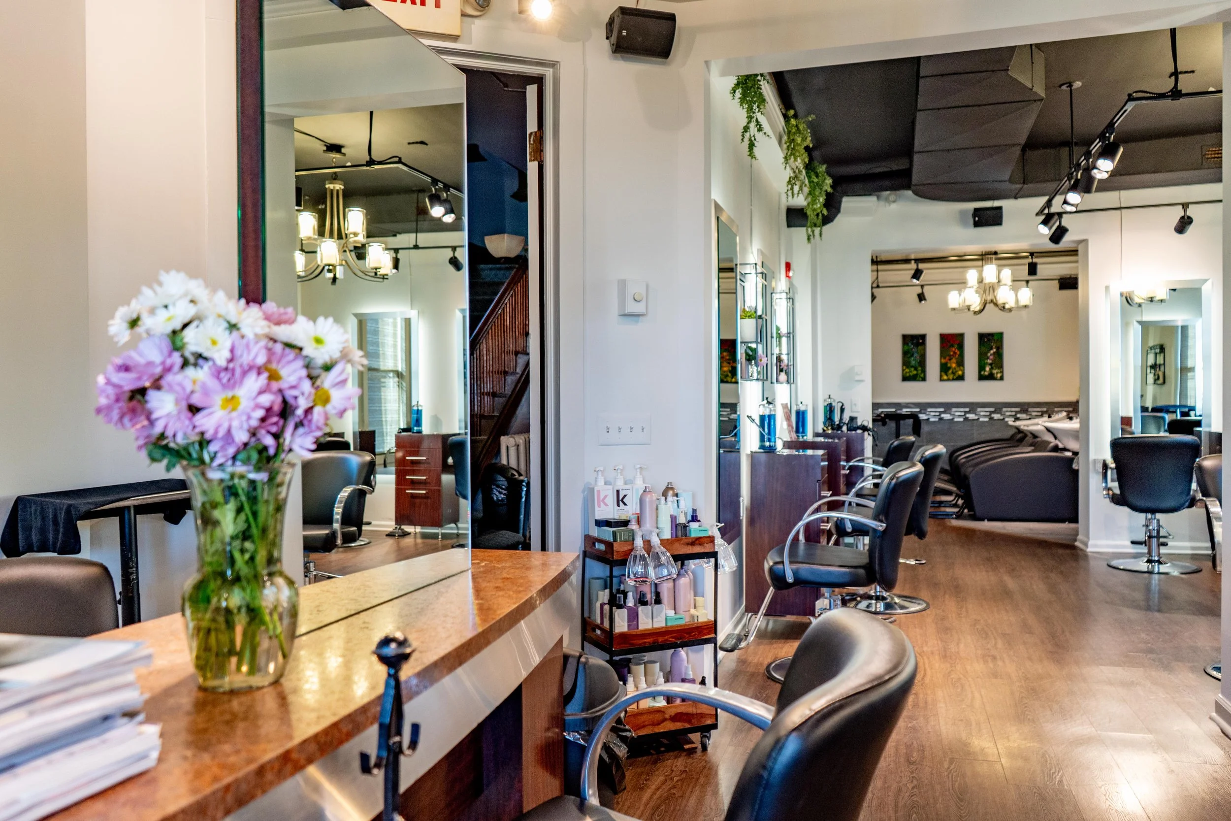 Salon Botanique Eco-Chic in Morristown, NJ (5)