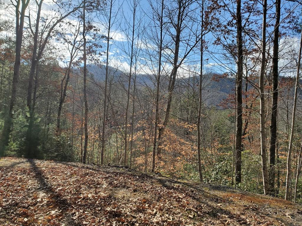 Stephanie Sainz | Broker | Bald Head Realty in Franklin, NC (3)