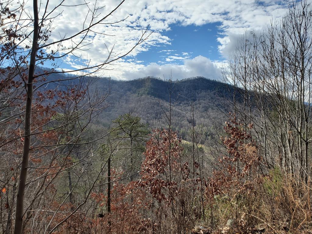 Stephanie Sainz | Broker | Bald Head Realty in Franklin, NC (5)
