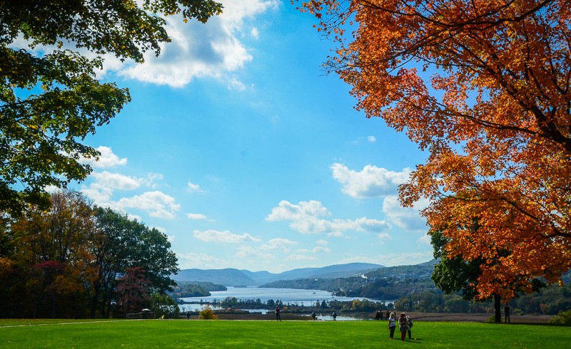 Connie Stetler, Realtor NY & CT in Rye, NY (5)