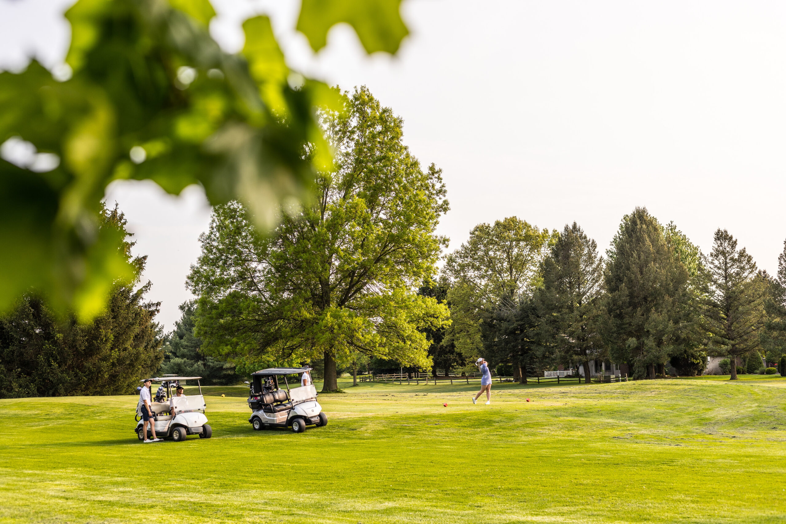 Black Squirrel Golf Club in Goshen, IN