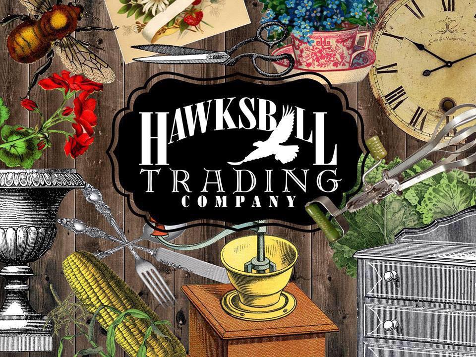 Hawksbill Trading Company in Luray, VA (5)