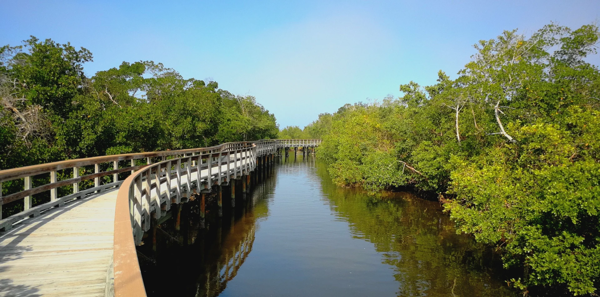 Golm Law Firm in Bradenton, FL (3)