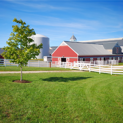 Reifsnyder's Ag Center in Bernville, PA (2)