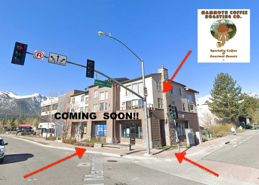 Mammoth Coffee Roasting, Co. home of URSA in Mammoth Lakes, CA (6)