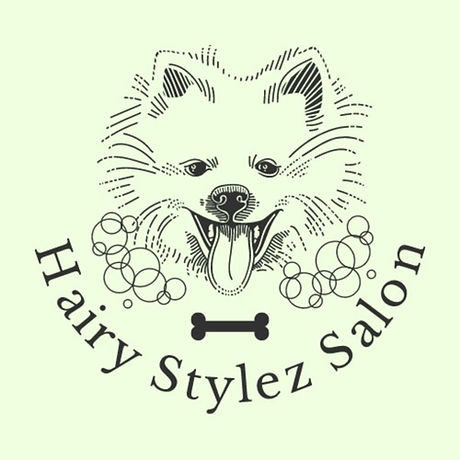 Hairy Stylez Salon in Rhinelander, WI