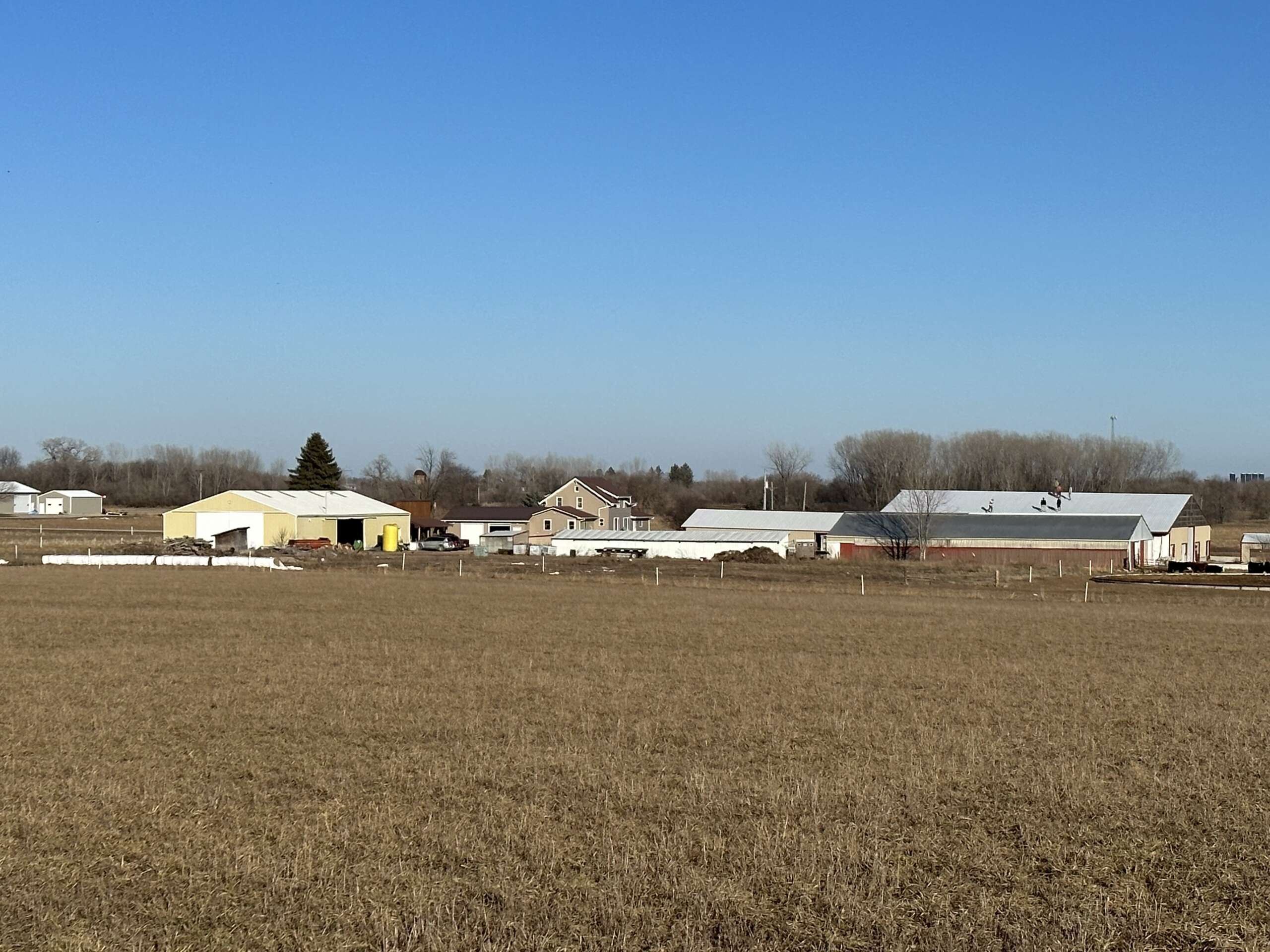 Court Family Farm in Black Creek, WI