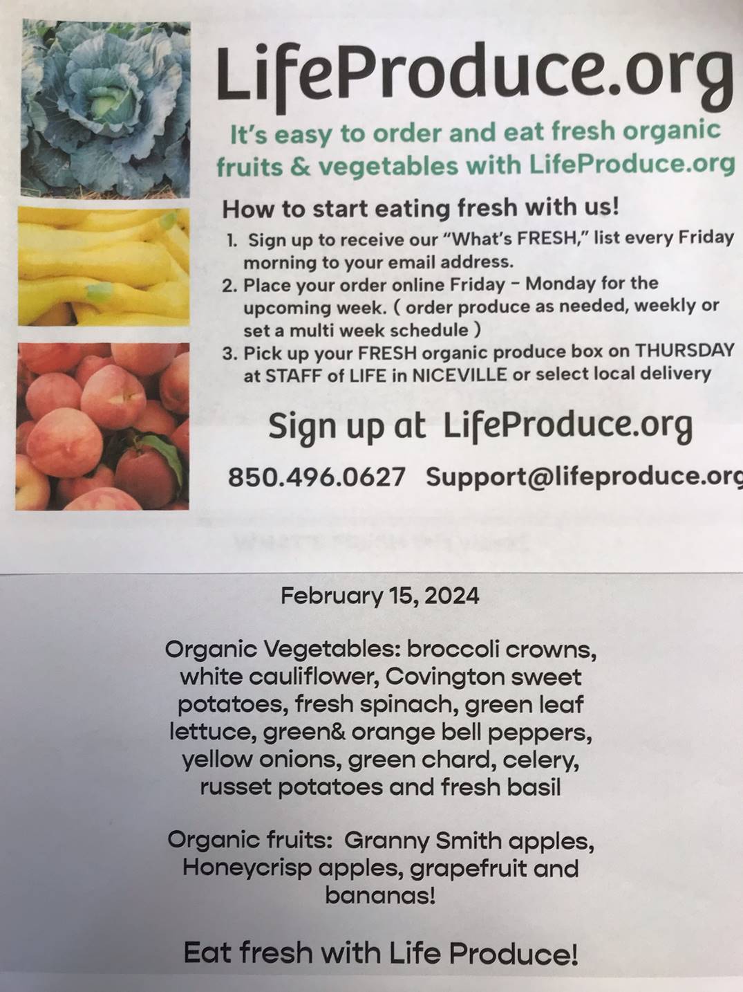 Staff of Life in Niceville, FL (4)