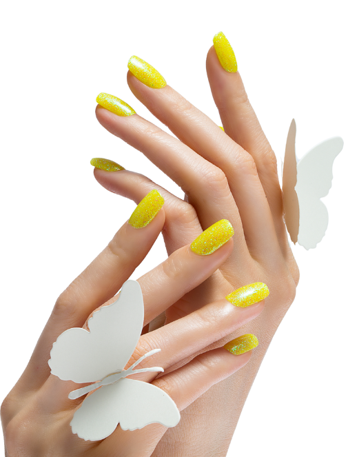 Capricho Beauty Supply in Hialeah, FL (2)
