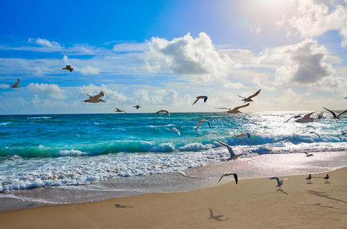 Scott & Amy Ferguson, Realtors in Belleair, FL (5)
