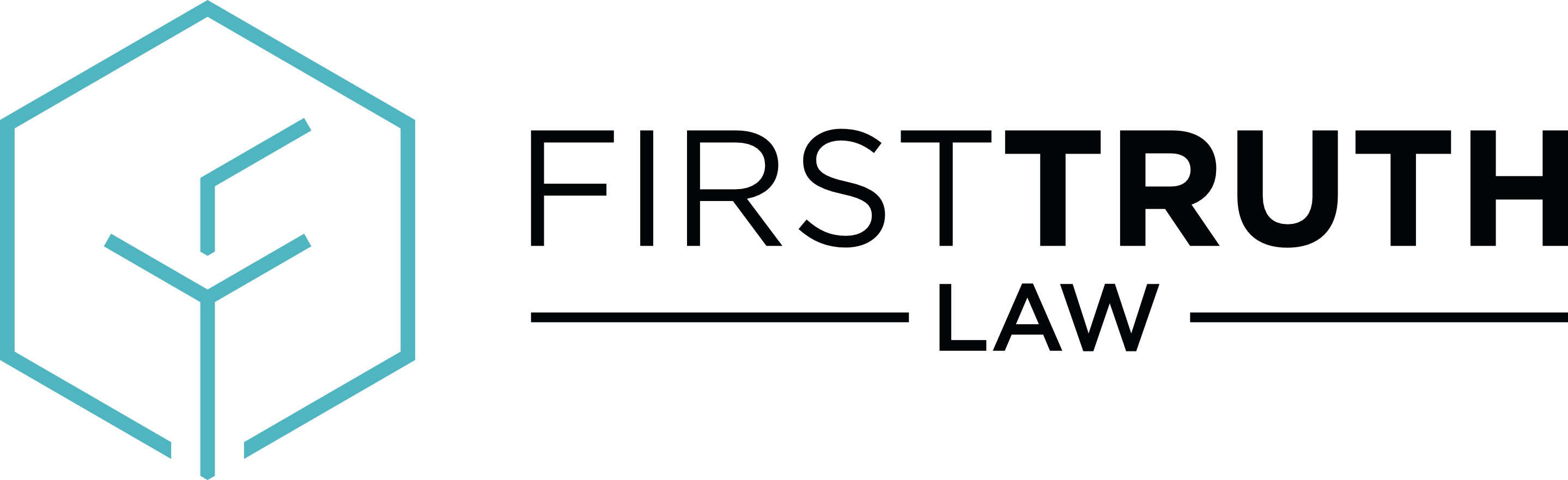 First Truth Law in Moneta, VA (3)