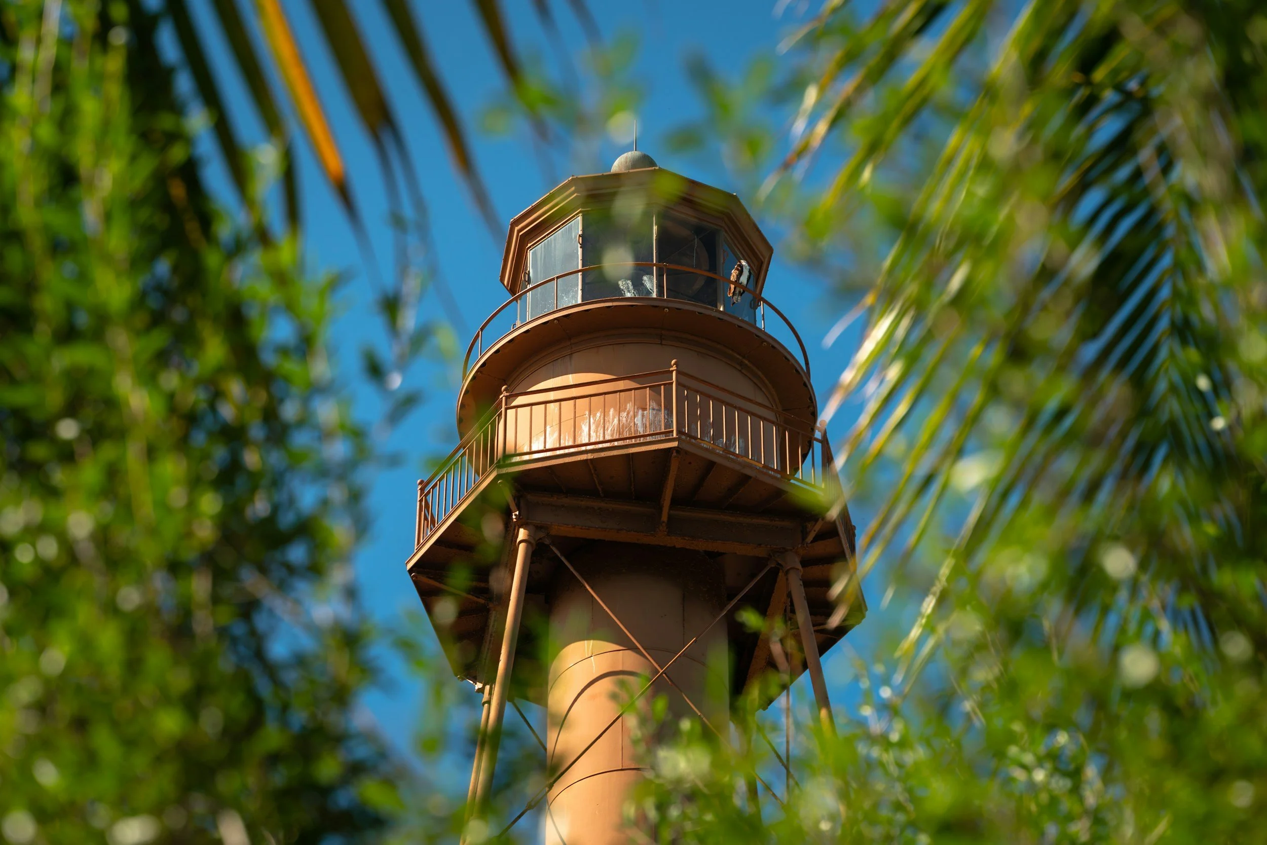 Law Office of Strickland & Torres, P.A. in Sanibel, FL (5)