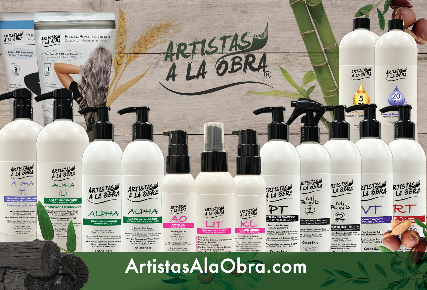 Artistas a la Obra in Schaumburg, IL (4)