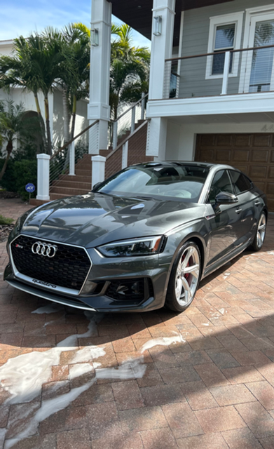Loggerhead Detailing LLC in Tampa, FL (3)