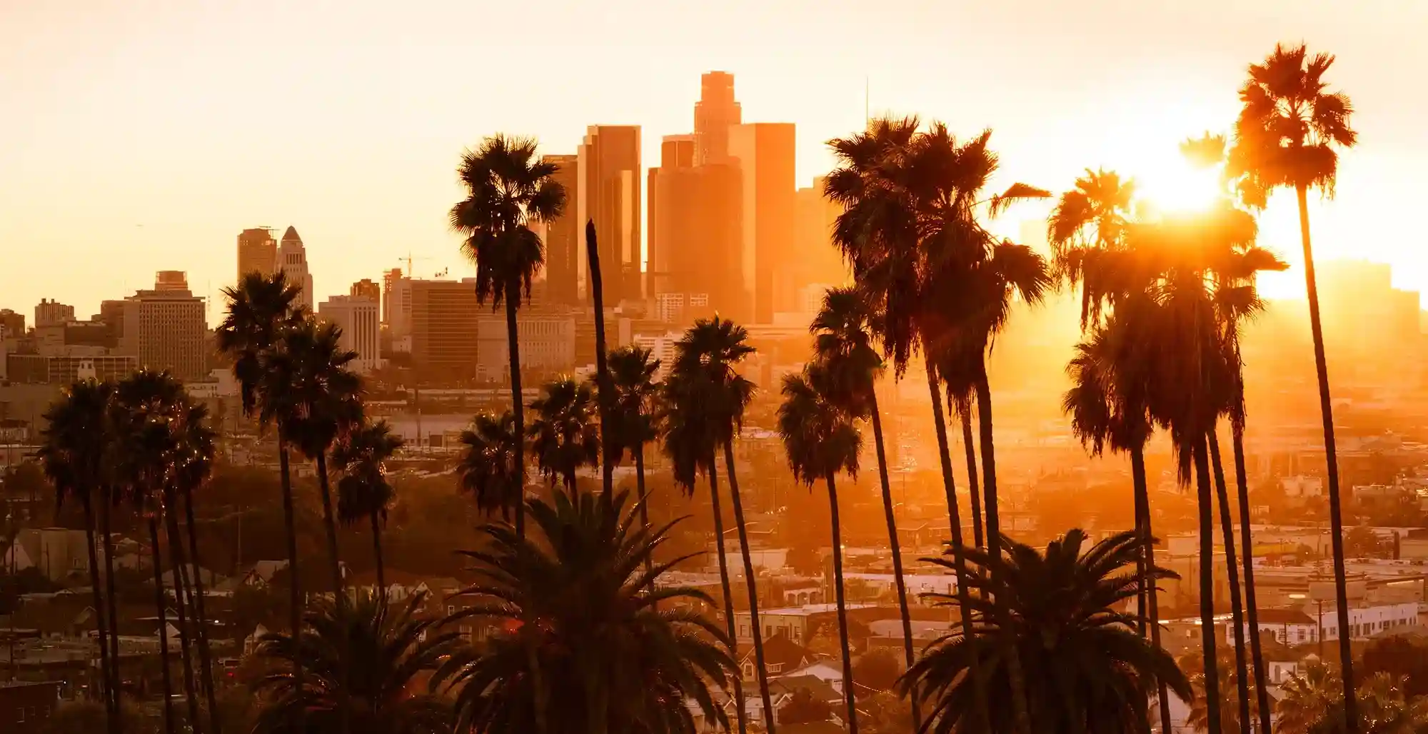 Los Angeles Truck Accident Lawyers in Los Angeles, CA (4)