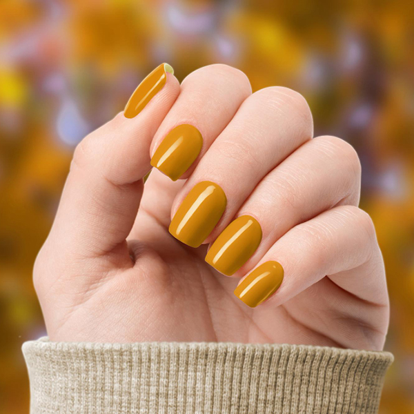Envy Nails Spa in St. Augustine, FL (4)