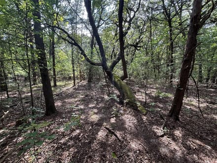 Frontier Properties in Bonham, TX (3)