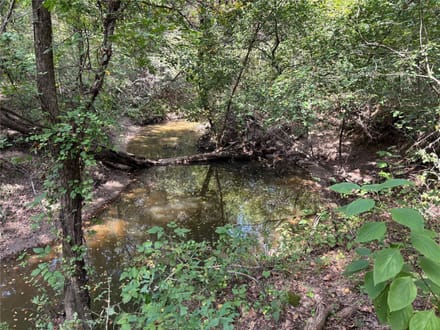 Frontier Properties in Bonham, TX (6)