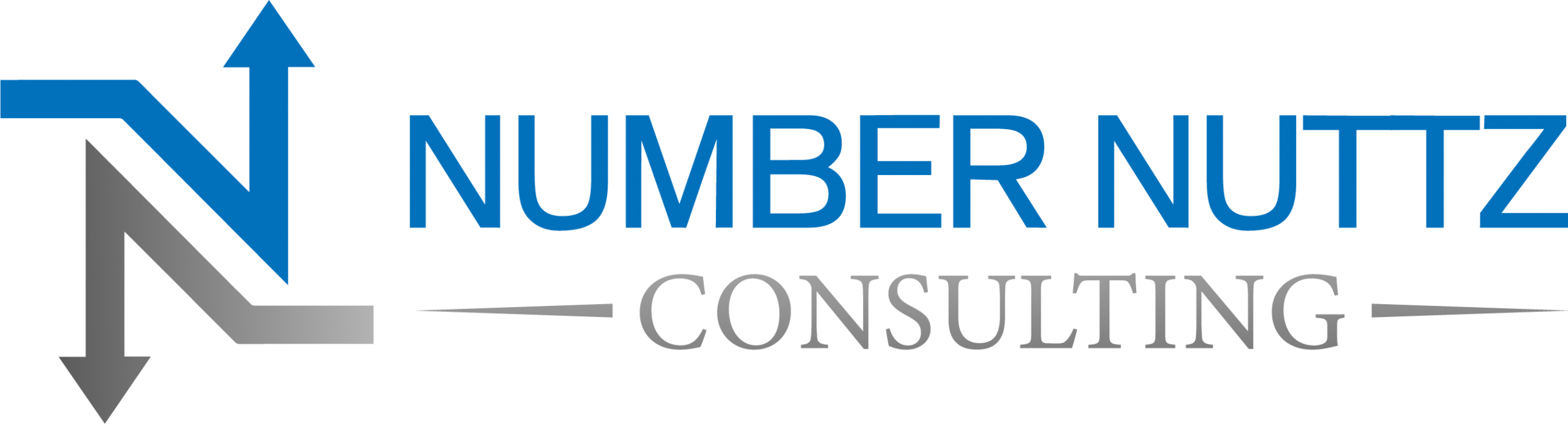 Number Nuttz Consulting in North Houston, TX
