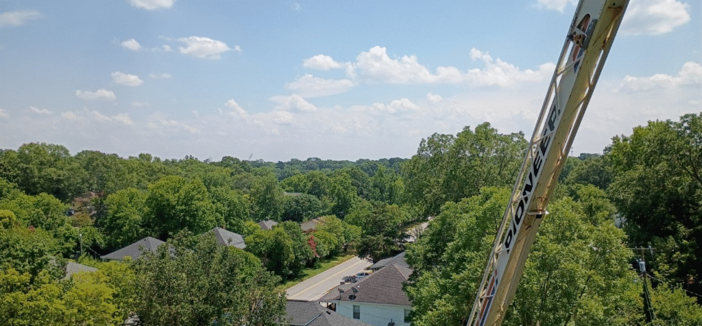 Craft & Canopy Tree Care in Cowpens, SC