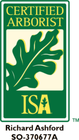 Craft & Canopy Tree Care in Cowpens, SC (2)