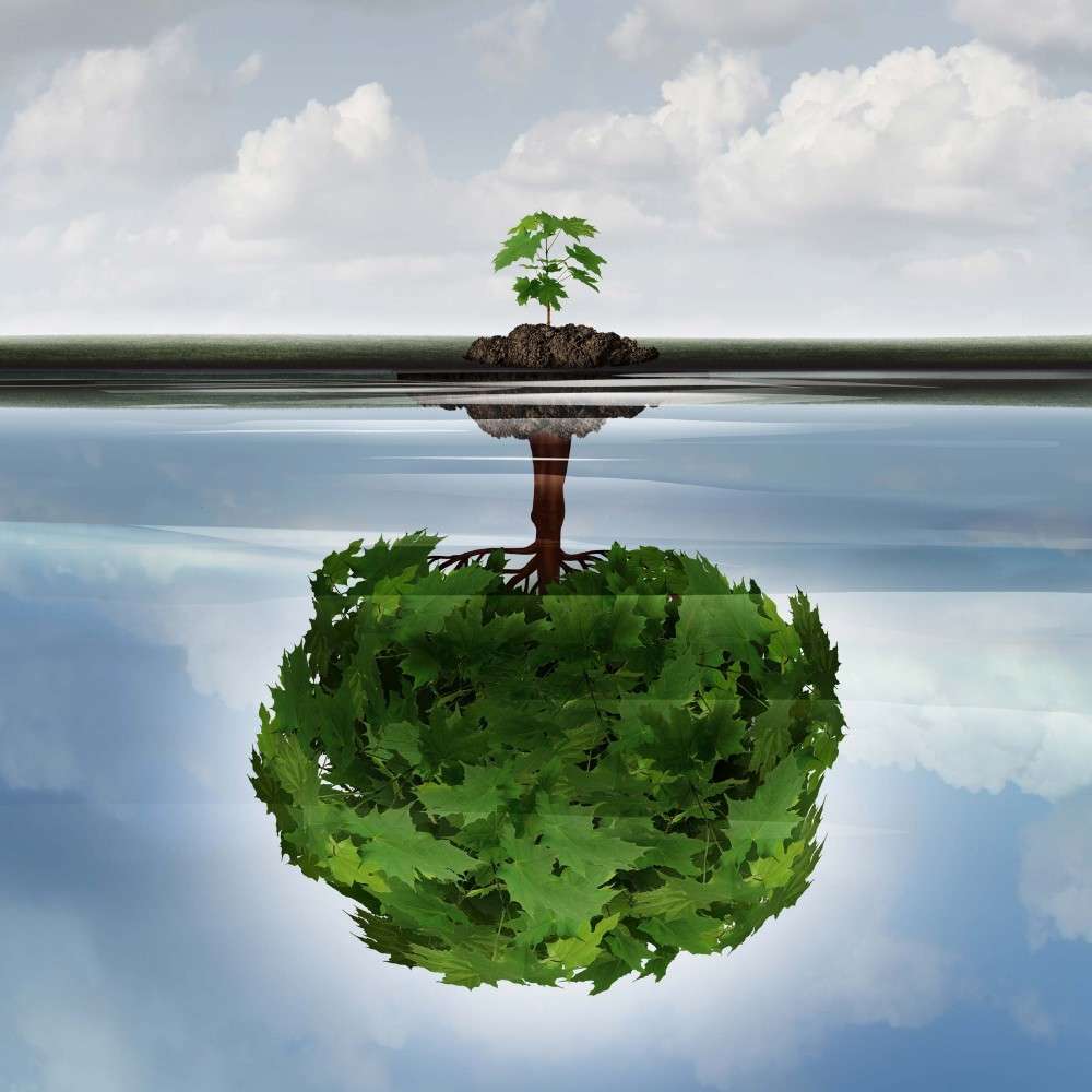 Annapolis Accounting Services in Annapolis, MD (5)