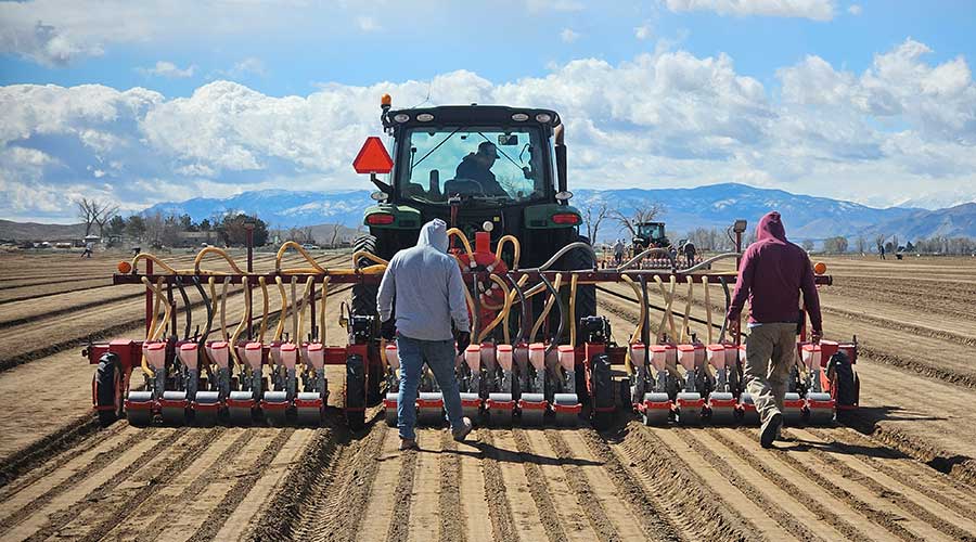 Peri & Sons Farms of California in Firebaugh, CA (2)