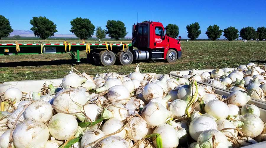 Peri & Sons Farms of California in Firebaugh, CA (5)
