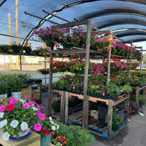 Anderson's Country Market II in Madison Heights, VA (3)